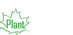 plantprotein