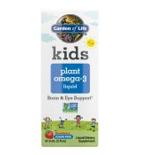 Kids Plant Omega-3 Strawberry 2 fl oz (57.5ml) Liquid