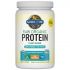 RAW Organic Proteín - Natural 560g.